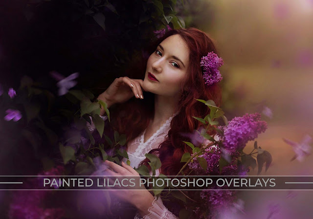 Painted Lilacs Photo Overlays