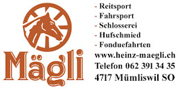 http://heinz-maegli.ch/