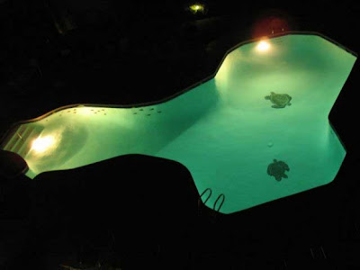 creative pools