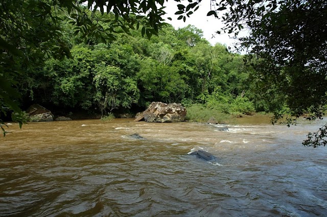 IAP libera pesca na bacia do Rio Piquiri