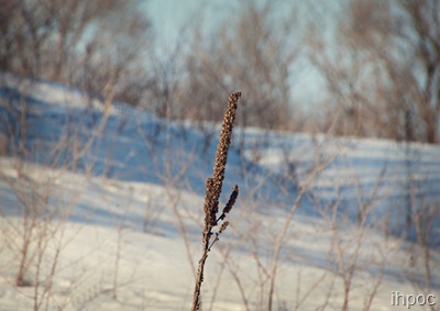 IMG_5815 copy