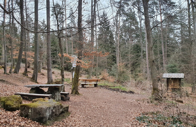 Rotmainquelle im Lindenhardter ForstRotmainquelle