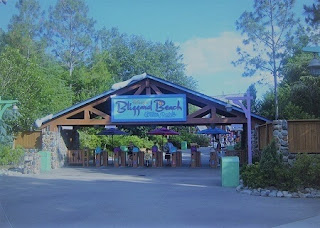 BLIZZARD BEACH PARK | Gran Parque acuático