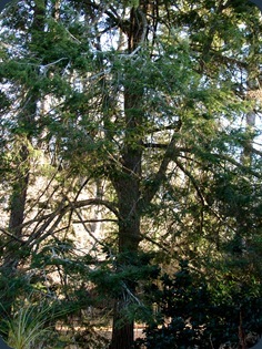 DSC03614