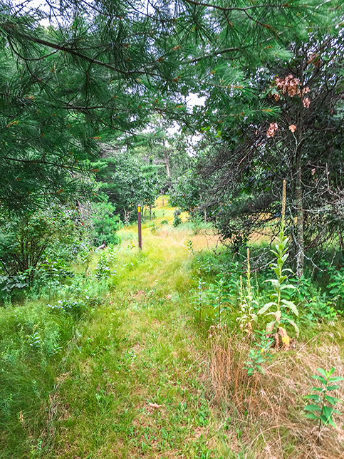 Ice Age Trail Chaffee Creek Segment