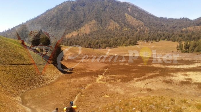 Bocah 8 Tahun dari Lampung Taklukan 13 Gunung, Lihat Videonya