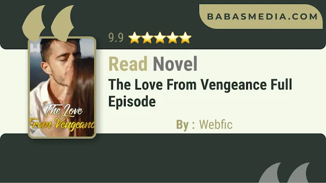 Cover The Love From Vengeance Novel By Webfic