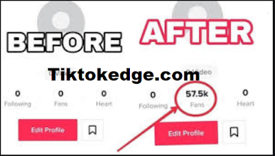 TIKTOKEDGE.COM | Easy To Get Free Tiktok Followers From Tiktokedge .com
