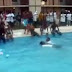 ΑΠΑΝΘΡΩΠΟ-ΑΠΑΡΑΔΕΚΤΟ ΒΙΝΤΕΟ: Τυπάδες ρίχνουν σε πισίνα άνδρα που δεν ξέρει κολύμπι και παραλίγο να πνιγεί