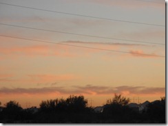 DSCN2302
