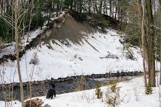 Erosion along Wilket Creek.