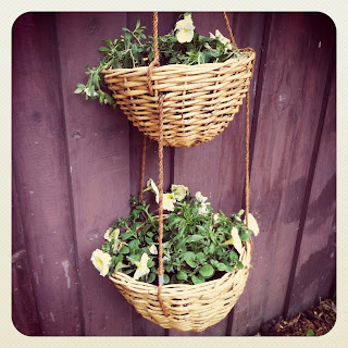 Hanging flower baskets