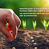 Planting a Seed | Alcazar Quotes