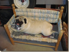 adventures in weaving 025