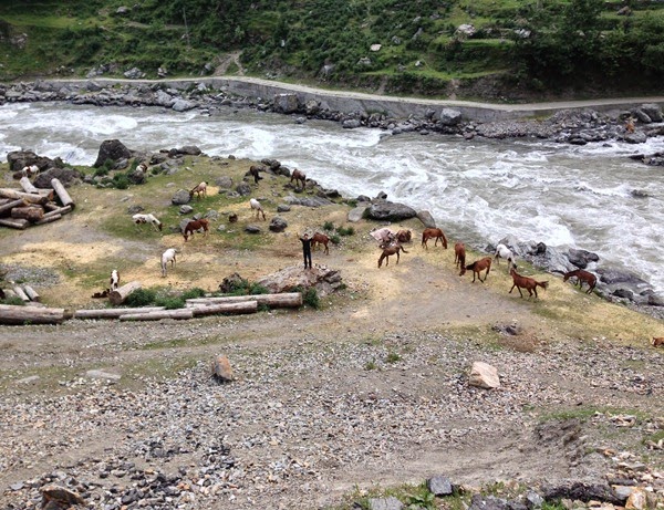 That's me in center!  River Kunhar