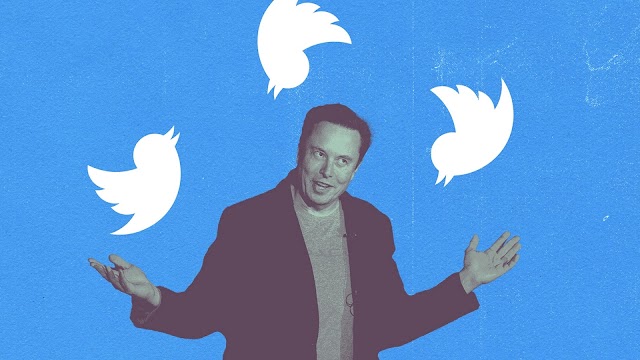 "Should I Step Down?": Elon Musk Starts New Twitter Poll