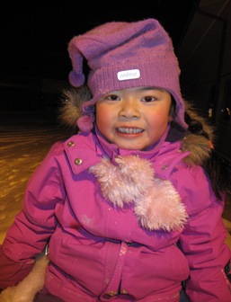 Desember 2010 221