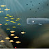 Download Flash Game - Deep And Blue