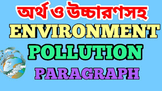 Environment Pollution Paragraph