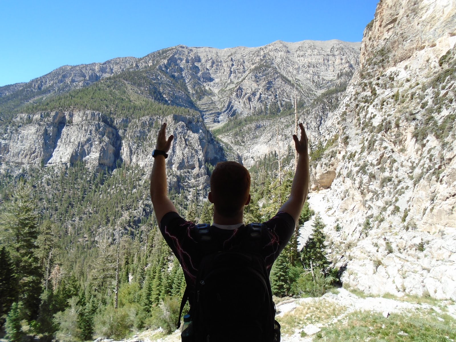 Week 55: Climbing Mt. Charleston