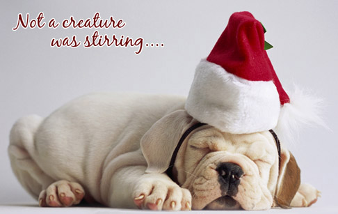 puppy wallpapers. Christmas Puppy Wallpapers