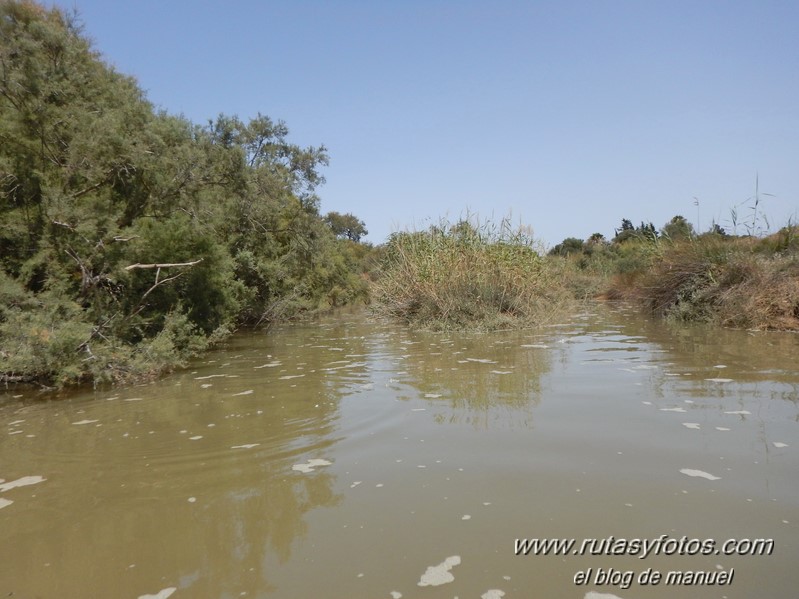 Kayak San Fernando - Chiclana