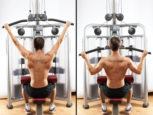 Muscle Fitness Chest Workout Routines : Brain Science And New Year's Resolutions