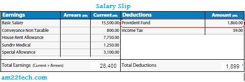 Salary Slip Template 13