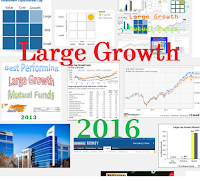 Best Large Growth Stock Mutual Funds in 2016