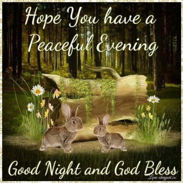 sweet dreams good night rose