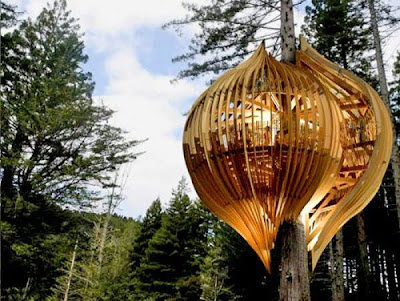 coolest hanging Tree Houses