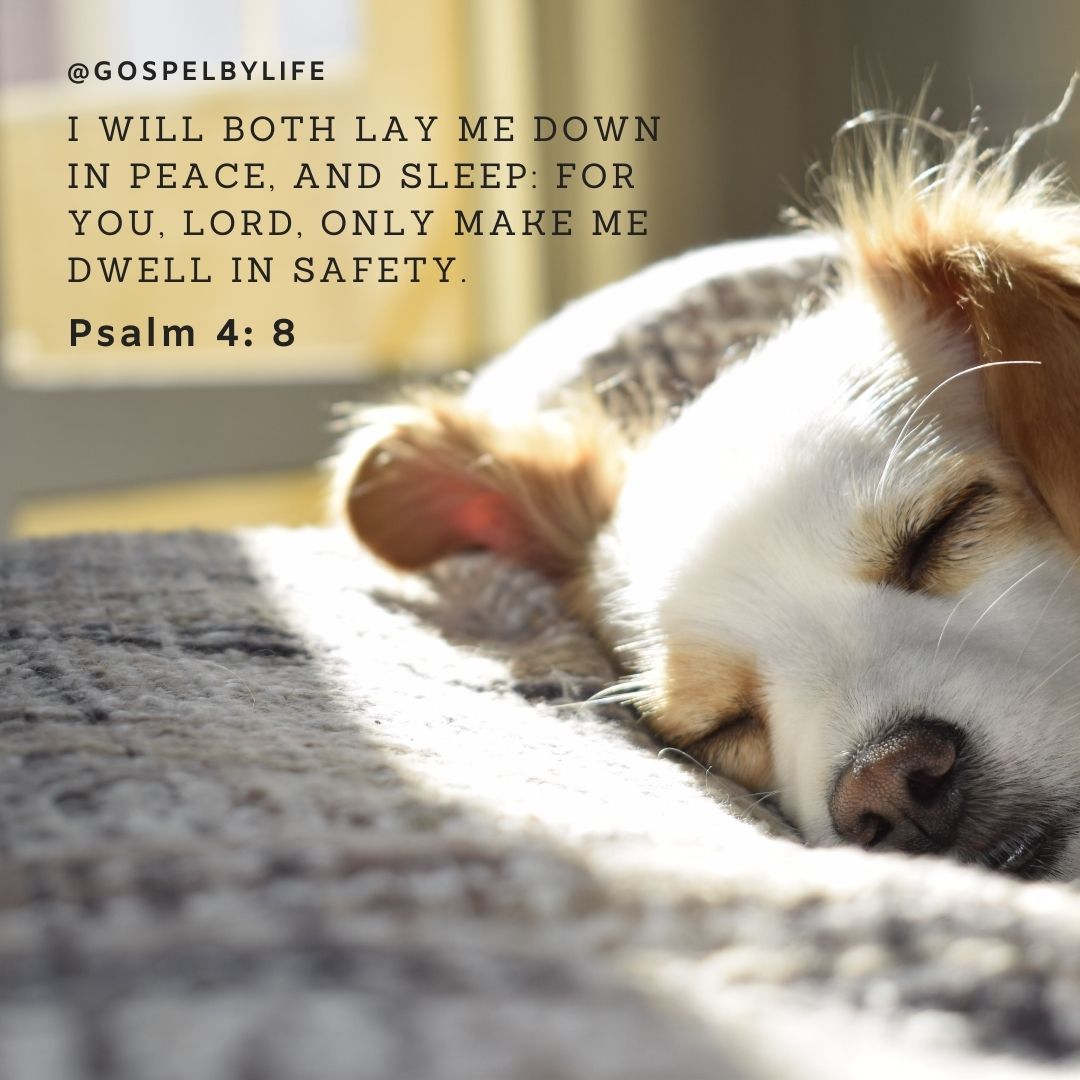 Beautiful image with Psalm 4-8