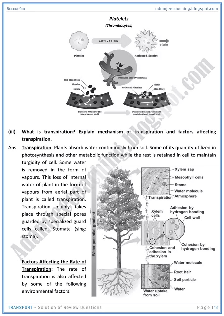 transport-review-question-answers-biology-9th