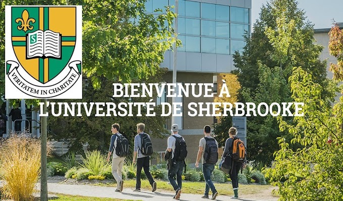 Claire-Deschênes Postdoctoral Fellowship at Université de Sherbrooke (Québec, Canada)