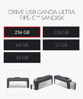 sandisk_tipe_c