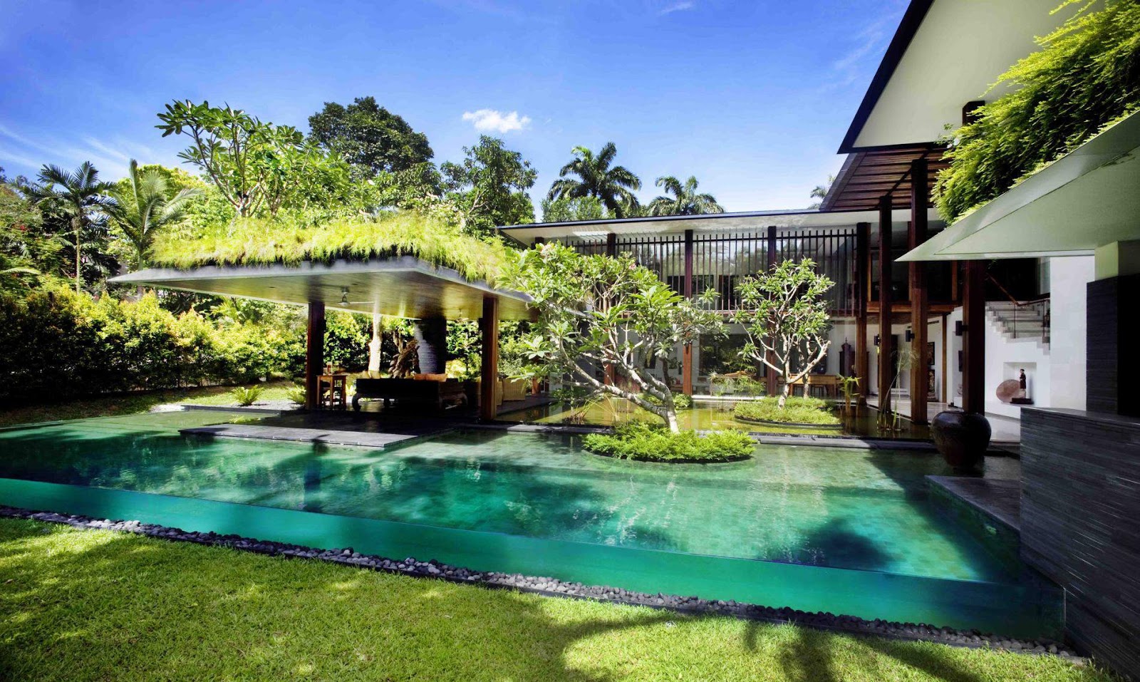  Contemporary  Tropical House  Tanga House  Modern  home  