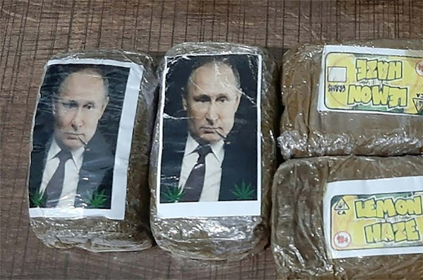 323 plaquettes de cannabis à l’effigie de Vladimir Poutine saisies par la police Libyenne 