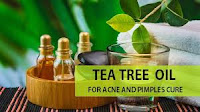 Tea tree oil and Aloe Vera For acne