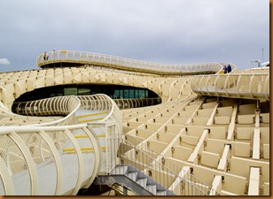 seville, mushrooms 3
