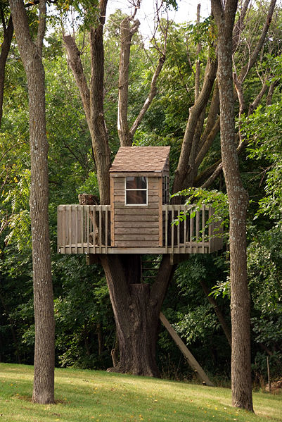 I Love Tree House: How to Build a Treehouse by wikihow.com
