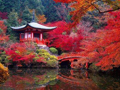 Daigo-ji Temple in Autumn - Kyoto, Japan