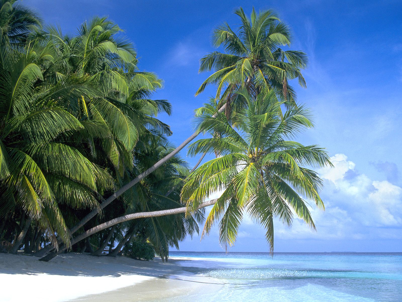 Maldive Islands - Travel Guide and Travel Info ~ Tourist Destinations