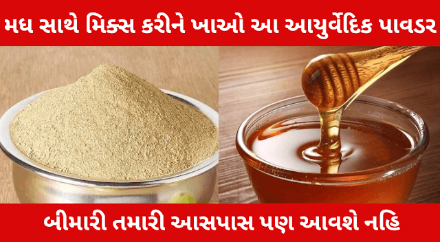 મધ સાથે મિક્સ કરીને ખાઓ આ આયુર્વેદિક પાવડર બીમારી તમારી આસપાસ પણ આવશે નહિ