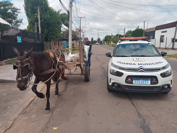 Guarda Municipal efetua prisão por furto de fios de energia em Cachoeirinha