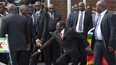 Mugabe fell