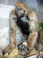 Gigantopithecus