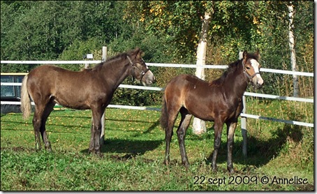 hoppene-22sept-09_06