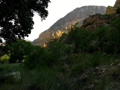 cliffs through trees