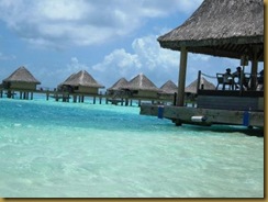 Lunch location