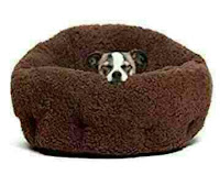 Best Dog Bed For Small Dogs - Best Friends by Sheri OrthoComfort Deep Dish Cuddler